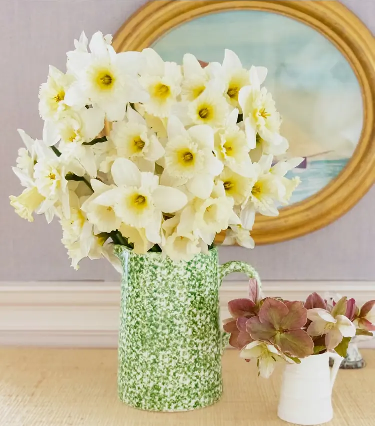 Spongeware Pitcher - Image 3