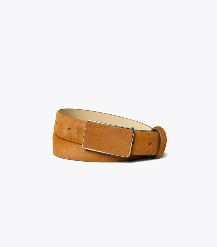 Plate Belt